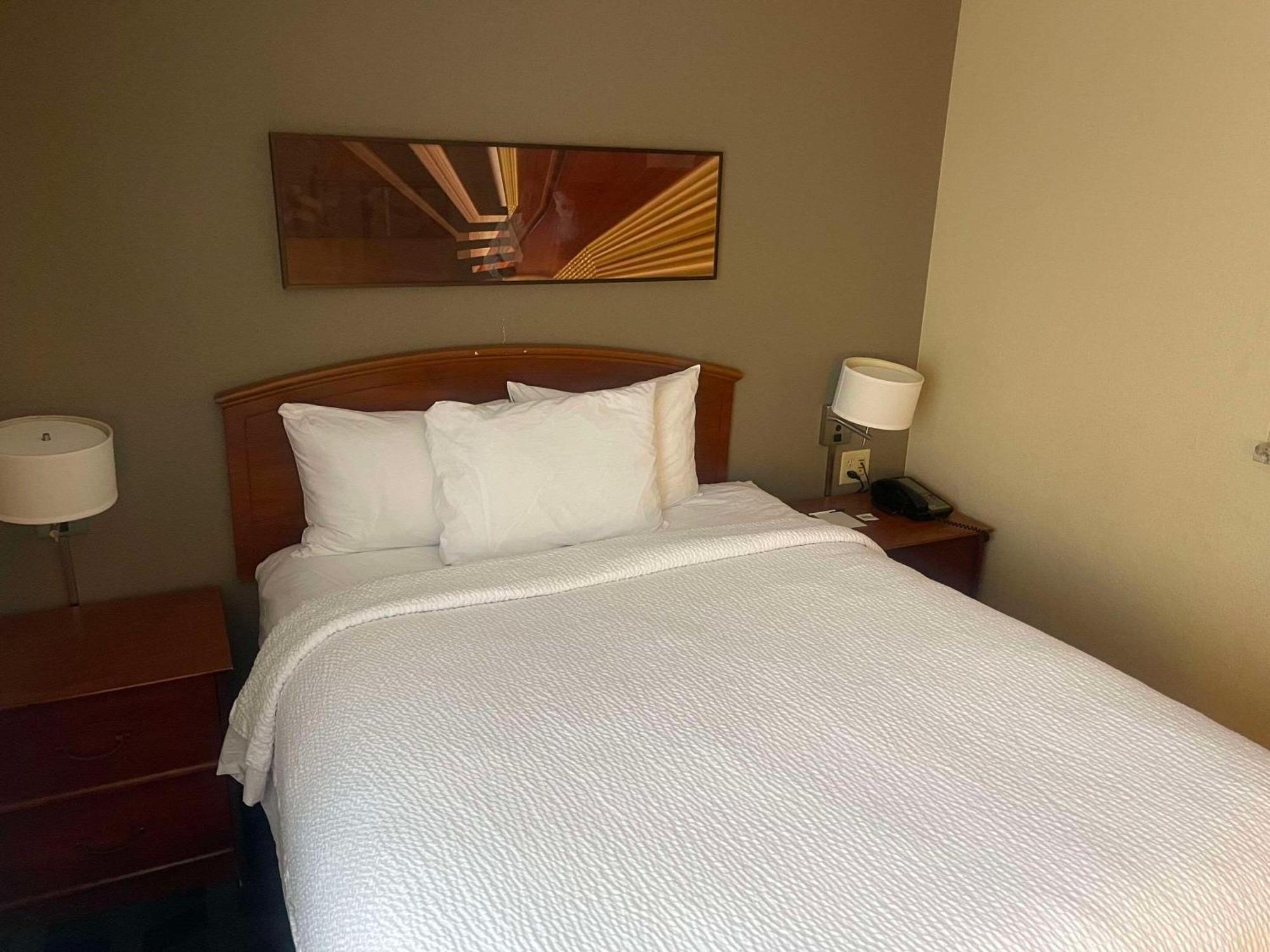 Mainstay Suites Tampa Moffitt-Usf Temple Terrace Buitenkant foto