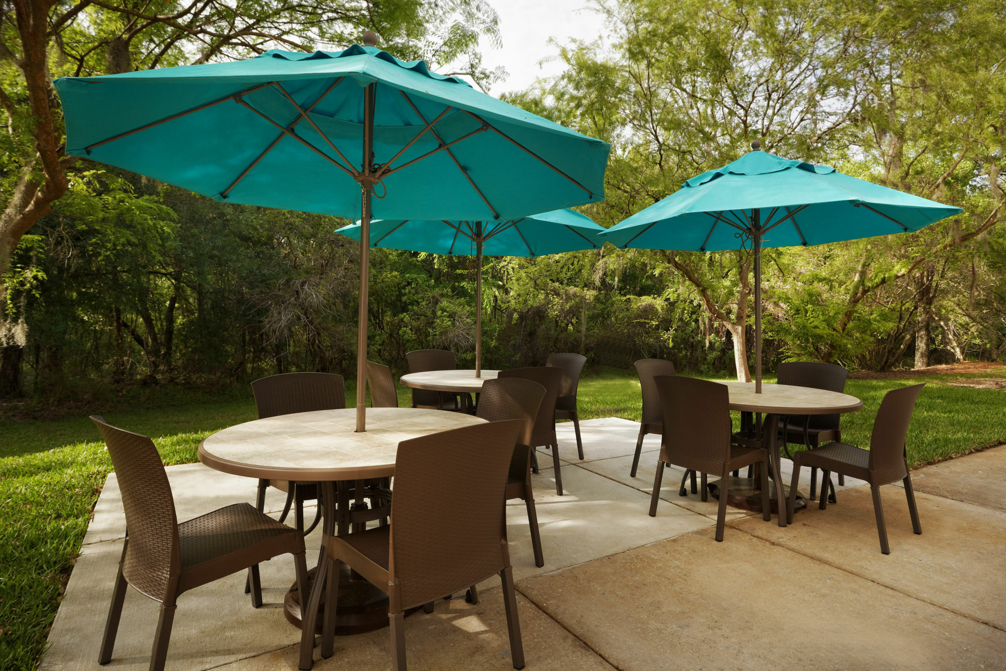 Mainstay Suites Tampa Moffitt-Usf Temple Terrace Buitenkant foto